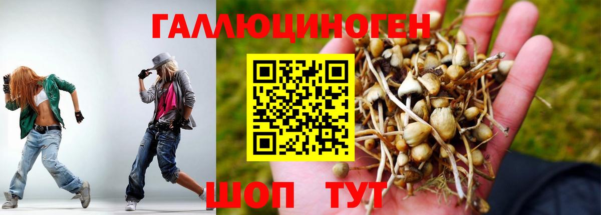 Псилоцибиновые грибы Psilocybine cubensis  Вход с VPN  Псилоцибиновые грибы Psilocybine cubensis  Озёры 